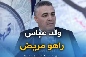 محمد عماري : ” هذا هو السبب لي خلى ولد عباس يغادر مكتب الأفلان “