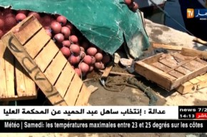 عين تموشنت: صناديق خشبية بحالة كارثية تستخدم في شحن المنتوجات البحرية