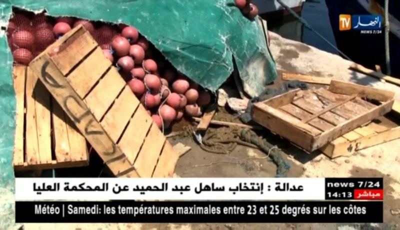 عين تموشنت: صناديق خشبية بحالة كارثية تستخدم في شحن المنتوجات البحرية