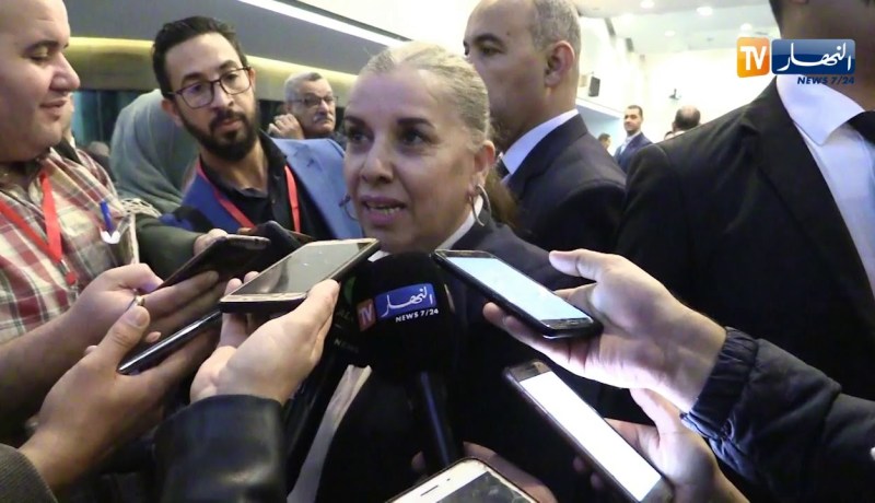 وزيرة الصناعة: “موضوع إستيراد السيارات أقل من 5 سنوات لا يزال قيد النقاش”