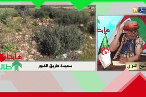 طالع هابط: لا يحدث إلا في الجزائر.. مقبرة دارو فيها طريق عمومي