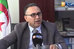 فلاحة: فائض في إنتاج الثوم و الوزارة تتجه لإعتماد طرق التخزين التقليدي