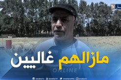عيد الأضحى: رغم فتح نقاط بيع جديدة..أسعار المواشي تراوح مكانها