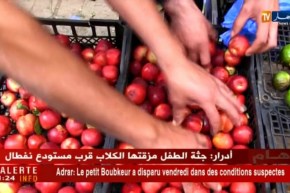 عين تيموشنت: فواكه غير ناضجة ودون نكهة تعرض بالأسواق..