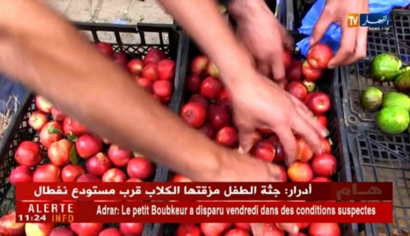 عين تيموشنت: فواكه غير ناضجة ودون نكهة تعرض بالأسواق..