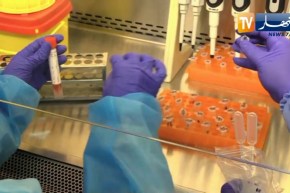 صحة: من داخل مخابر pcr .. هكذا يتم الكشف عن كورونا