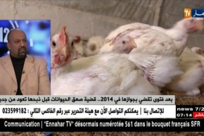 بعد فتوى تقضى بجوازها في 2014..قضية صعق الحيوانات قبل ذبحها تعود من جديد