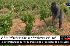 فلاحة/ هكذا تساهم الرياح في تلقيح الأشجار