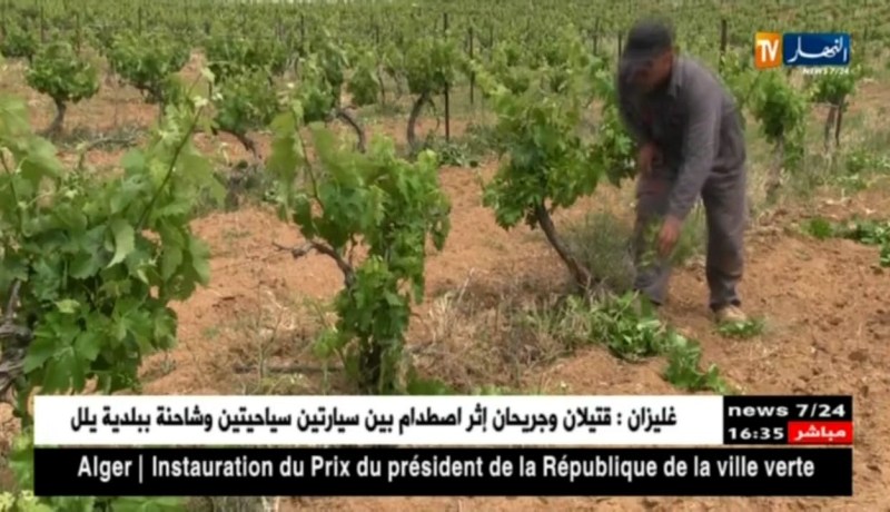 فلاحة/ هكذا تساهم الرياح في تلقيح الأشجار