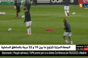 براهيمي أمام حتمية إجراء عملية جراحية والإصابة تهدد مستقبله