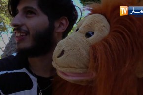 فن في عز أزمة كورونا .. هكذا يرفه بلال و دميته عزوز عن الجمهور