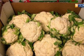 تجارة: المتعاملون الإقتصاديون يشتكون.. مشاكل التصدير متواصلة