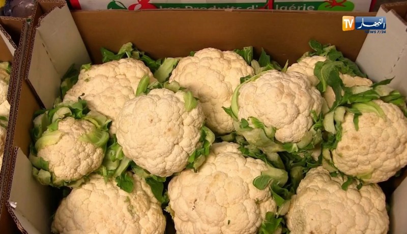 تجارة: المتعاملون الإقتصاديون يشتكون.. مشاكل التصدير متواصلة