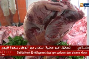 البليدة إرتفاع رهيب في أسعار اللحوم الحمراء والبيضاء قبيل عيد الفطر المبارك