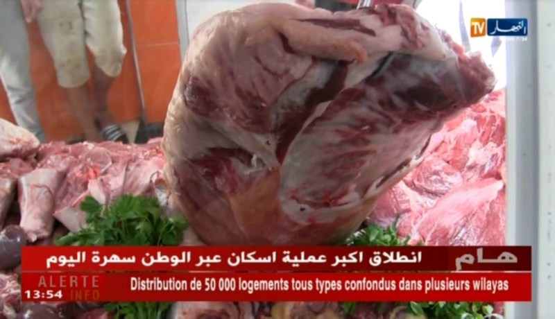 البليدة إرتفاع رهيب في أسعار اللحوم الحمراء والبيضاء قبيل عيد الفطر المبارك