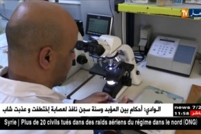 النشرة الأمازيغية ليوم الجمعة 02 فيفري 2018