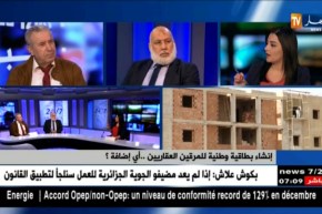 هذه هي الإجراءات الجديدة لتشجيع المرقين على إنجاز سكنات LPA