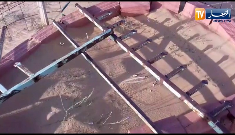 الوادي: إبن الشهيد يناشد.. أهنتوا الشهيد وإذا لم يكن شهيد فهو هيكل بشري احترموه