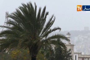 طقس: رياح قوية وزوابع رملية تضرب المناطق الداخلية والجنوبية اليوم