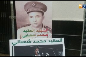 العاصمة..مبادرة عرض صور تاريخية من قبل شباب الحراك