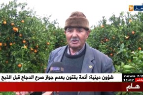 عين تموشنت: فلاحون يحولون أرضهم لجنان خضراء رغم النقائص