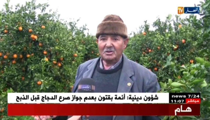 عين تموشنت: فلاحون يحولون أرضهم لجنان خضراء رغم النقائص