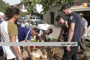 الشؤون الدينية: الجزائر تسير على خطى السعودية في تحديد هلال ذو الحجة