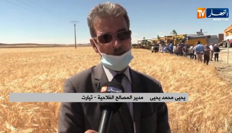 تيارت : إنطلاق الحصاد والدرس وسط توقعات بإنتاج يتجاوز 3 ملايين قنطار من الحبوب