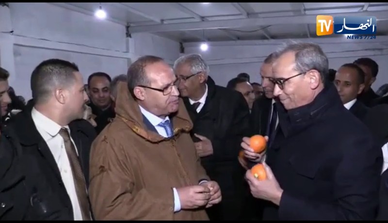 بوعزقي ووالي ولاية سيدي بلعباس عجبتهم تشينا من نوع “تولغا” بإحدى المستثمرات الفلاحية