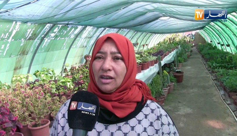 الطارف: السيدة وردة تحقق مشروع المشتلة الحلم بمجهوداتها الكبيرة