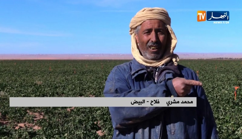 البيض: تجربة زراعية فريدة من نوعها تحول صحراء قاحلة إلى جنة