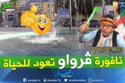 بعد رسالة النوي نافورة البليدة تعود للعمل