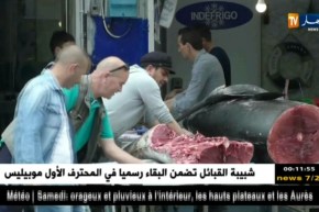 تجارة: بورصة أسعار السمك تنخفض أياما فقط قبل الشهر الكريم