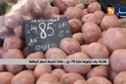 بعد تجاوزها عتبة 70 دج..هكذا تضبط أسعار البطاطا
