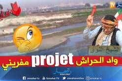 الشيخ النوي: ضفاف وادي الحراش.. مساحة خضراء جات الحملة داتها