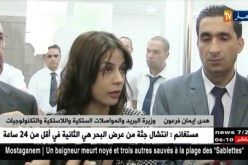 هدي فرعون: كل الشعب الجزائري له الحق أن تصله العصرنة…التفاصيل