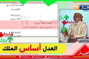 طالع هابط: الجزائر الجديدة .. الشيخ النوي يشرح المادة 163 من الدستور