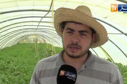 بسكرة: مسلم.. شاب إختار المجال الفلاحي رغم قلة الإمكانيات والمتابعة