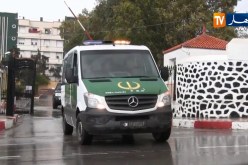 مستغانم: إيداع المشتبه فيهم الأربعة لقتل راعي الغنم الحبس المؤقت