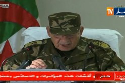 قايد صالح: تعهدت شخصيا أن أعمل بصدق وصراحة على المرافقة العقلانية للشعب الجزائري في مسيراته السلمية