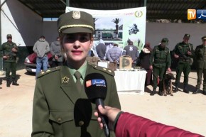 وهران: تفكيك 3 شبكات منظمة مختصة في التهريب والمتاجرة بالمخدرات