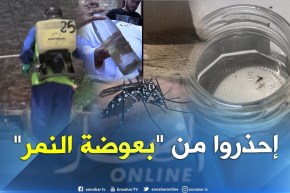 صحة: هذه هي الأماكن التي تتكاثر فيها بعوضة النمر