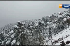 شاهد مدينة الشريعة نظرة من السماء