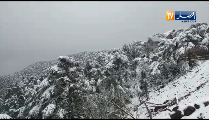 شاهد مدينة الشريعة نظرة من السماء