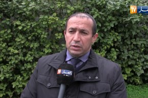 الشلف: نتائج إيجابية تسجل في إنتاج مادة العدس والبقوليات بصفة عامة