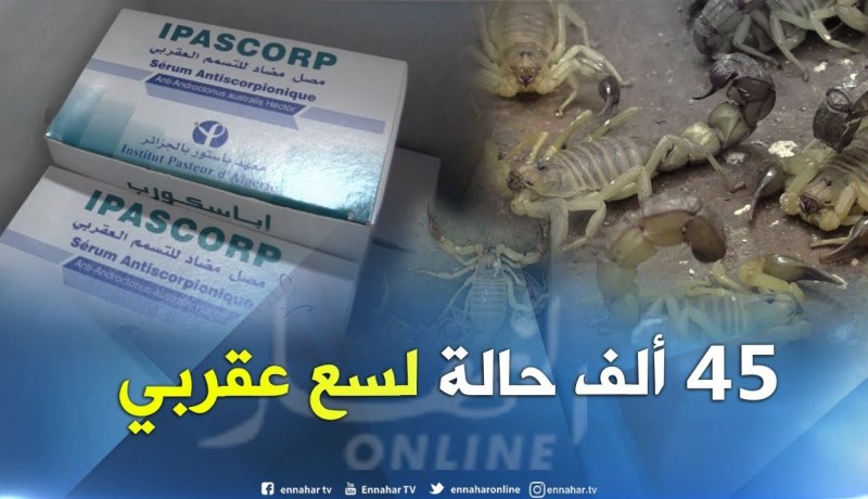 صحة: 45 ألف لسعة عقارب يتعرض لها الجزائريون سنويا