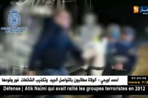 إيطاليا: إحباط تهريب 11 طنا من المخدرات قادمة من سواحل شمال إفريقيا