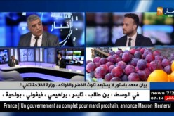 بيان معهد باستور لا يستبعد تلوث الخضر والفواكه.. وزارة الفلاحة تنفي !
