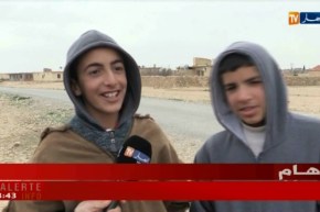 باتنة: خطر الكلاب الضارة يزداد بقرية شوعب..والسكان يطالبون بالحلول