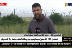 إضطراب في الرحلات الجوية نحو مطار هواري بومدين بسبب الضباب الكثيف